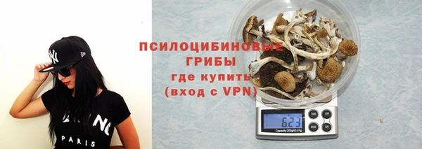 PSILOCYBIN Белокуриха