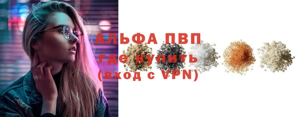PSILOCYBIN Белокуриха