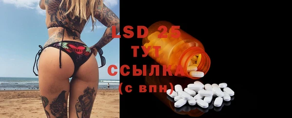 PSILOCYBIN Белокуриха