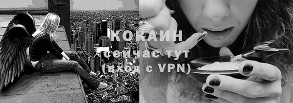 PSILOCYBIN Белокуриха